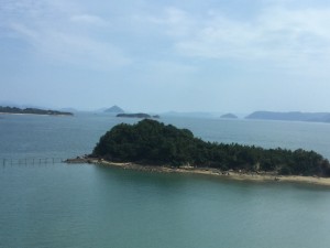 image1003-2(002)